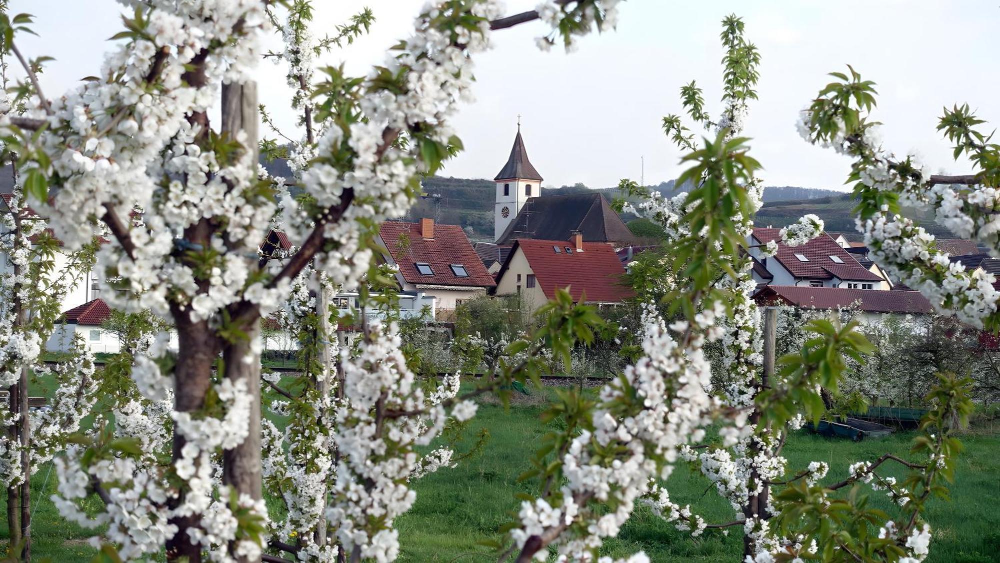 Fliegerhorst Endingen am Kaiserstuhl