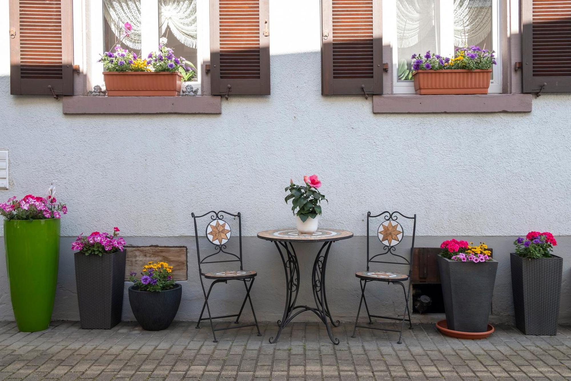Apartament Fliegerhorst