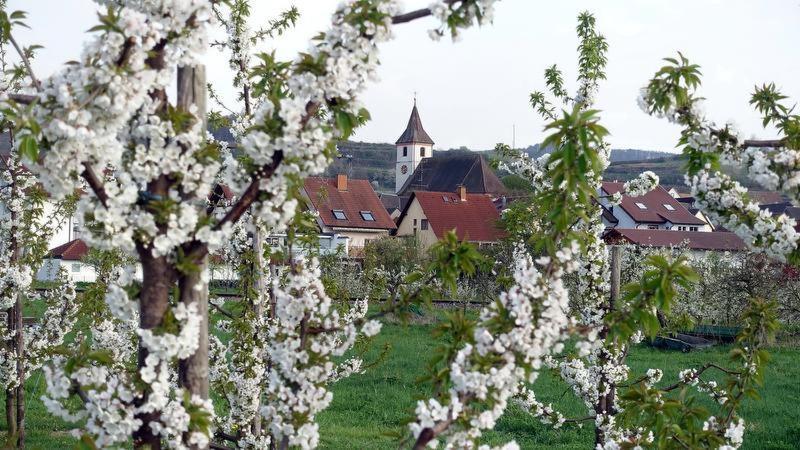 Fliegerhorst * Endingen am Kaiserstuhl